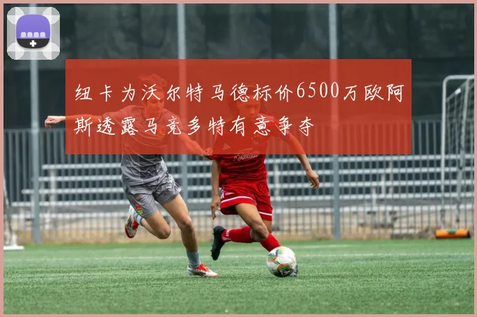 纽卡为沃尔特马德标价6500万欧阿斯透露马竞多特有意争夺
