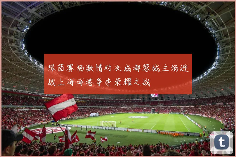 绿茵赛场激情对决成都蓉城主场迎战上海海港争夺荣耀之战